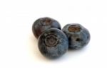 Blueberries Stock Photo