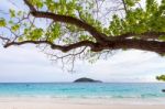 Sea And Beach Of Similan Island In Thailand Stock Photo