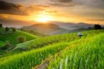 Rice Terraces In Northern Of Thailand Stock Photo