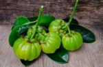 Still Life With Fresh Garcinia Cambogia On Wooden Background (th Stock Photo