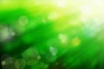 Abstract Spring Green Background  Stock Photo