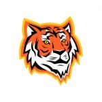 Bengal Tiger Head Mascot Stock Photo