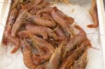Shrimps,prawn With Ice At The Food Market Stock Photo