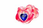 Blue Jewelry Heart Hanging In Red Rose Stock Photo