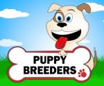 Puppy Breeders Shows Husbandry Canines And Pedigree Stock Photo
