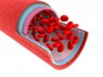 Red Blood Cells With Wain Stock Photo
