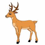 Illustration Of Deer Cartoon - Illustration Stock Photo