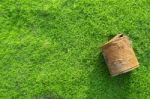 Rusty Can On Green Grass Stock Photo