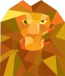 Lion Head Front Low Polygon Stock Photo