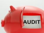 Audit Piggy Bank Means Inspection And Validation Stock Photo
