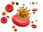 3d Virus And Blood Cells Stock Photo