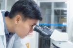 Asia Scientist Working In Biological Laboratory Stock Photo