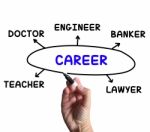 Career Diagram Means Profession And Field Of Work Stock Photo