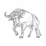 African Buffalo Charging Doodle Stock Photo
