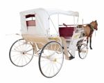 Rear View Of Horse Fairy Tale Carriage Cabin Isolated White Back Stock Photo