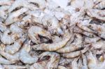 Fresh Shrimps On Ice Exposition At The Seafood Market In Thailan Stock Photo