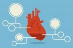 Heart Infographic Stock Photo