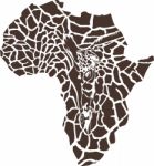 Africa In A Giraffe  Camouflage Stock Photo