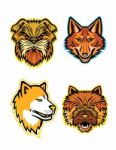 Terriers And Wolves Mascot Collection Stock Photo