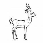 Antelope Cartoon - Line Drawn Stock Photo