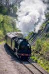 Steam Train On The Bluebell Railway Line In Sussex Stock Photo