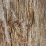 Old Wooden Stock Photo