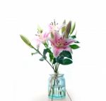 Pink Lily Flower Bouquet Stock Photo