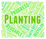 Planting Word Indicates Cultivation Grow And Growth Stock Photo