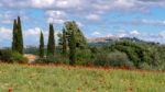 View Across  A Poppy Field Near Montepulciano Stock Photo