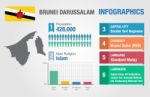 Brunei Infographics, Statistical Data, Brunei Information Stock Photo