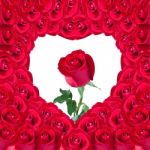 Beautiful Red Rose In Heart Of Red Rose Useful For Some Valentin Stock Photo