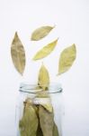 Dried Bay Leaves In Glass Jar On White Wooden Background Stock Photo