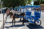 Mijas, Andalucia/spain - July 3 : Donkey Taxi In Mijas Andalucia Stock Photo