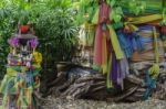Traditional Thai Spirit House And Big Tree Stock Photo