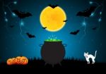 Halloween Witch Cauldron Pumpkin Cat  Stock Photo