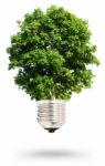 Tree Bulb Stock Photo