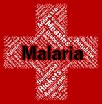Malaria Word Shows Ill Health And Disability Stock Photo