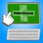 Kidney Infection Indicates Ill Health And Ailment Stock Photo