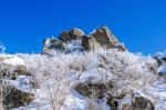 Seoraksan Mountains In Winter, Korea Stock Photo