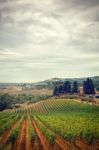 Stormy Sky Autumn Vineyard View Of Tuscany In Italy Stock Photo