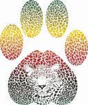Leopard Color Footprint Stock Photo