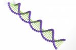 DNA On White Background Stock Photo