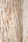 Classic Old Wooden Texture Background Stock Photo