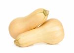 Butternut Squash Isolated Stock Photo