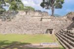 The Mayan Ruins In Copan Ruinas, Honduras Stock Photo