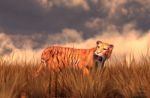 Tiger In Field,fantasy Conceptual 3d Illustration Background Stock Photo