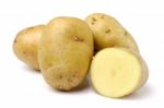 Potato Isolated On White Background Stock Photo