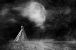 Ghost Woman In White Dress In Creepy Forest,3d Illustration Stock Photo