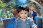 The Thai Boy In The Aqurium Stock Photo