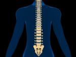 Back Pain, Spine, Backache Stock Photo